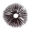 Köp B+ Psilocybe Cubensis Spore Print online