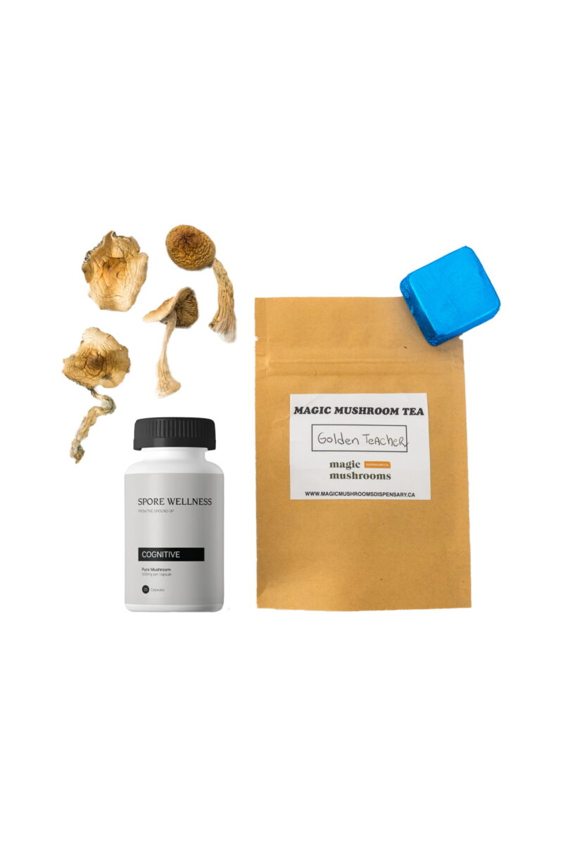 Första timmaren Magic Mushroom Kit: Psykologi 101